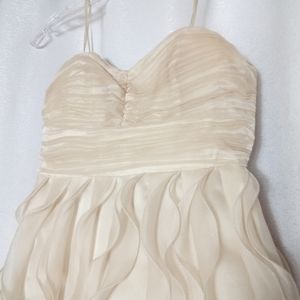 Champagne Cocktail Strapless Dress Prom Homecoming Special Occasion